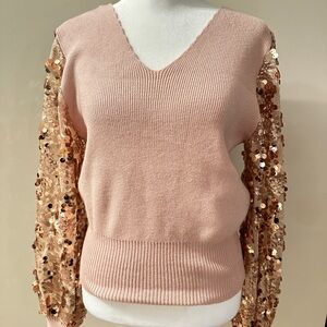 Rain + Rose Mauve V-Neck Sweater with Sequin Sleeves